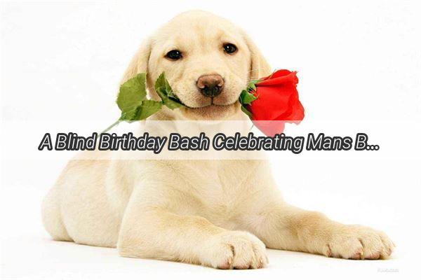 A Blind Birthday Bash Celebrating Mans Best Friend in Style